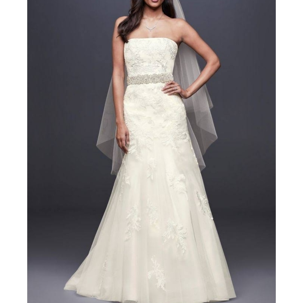 David's Bridal Ivory Lace Wedding Gown